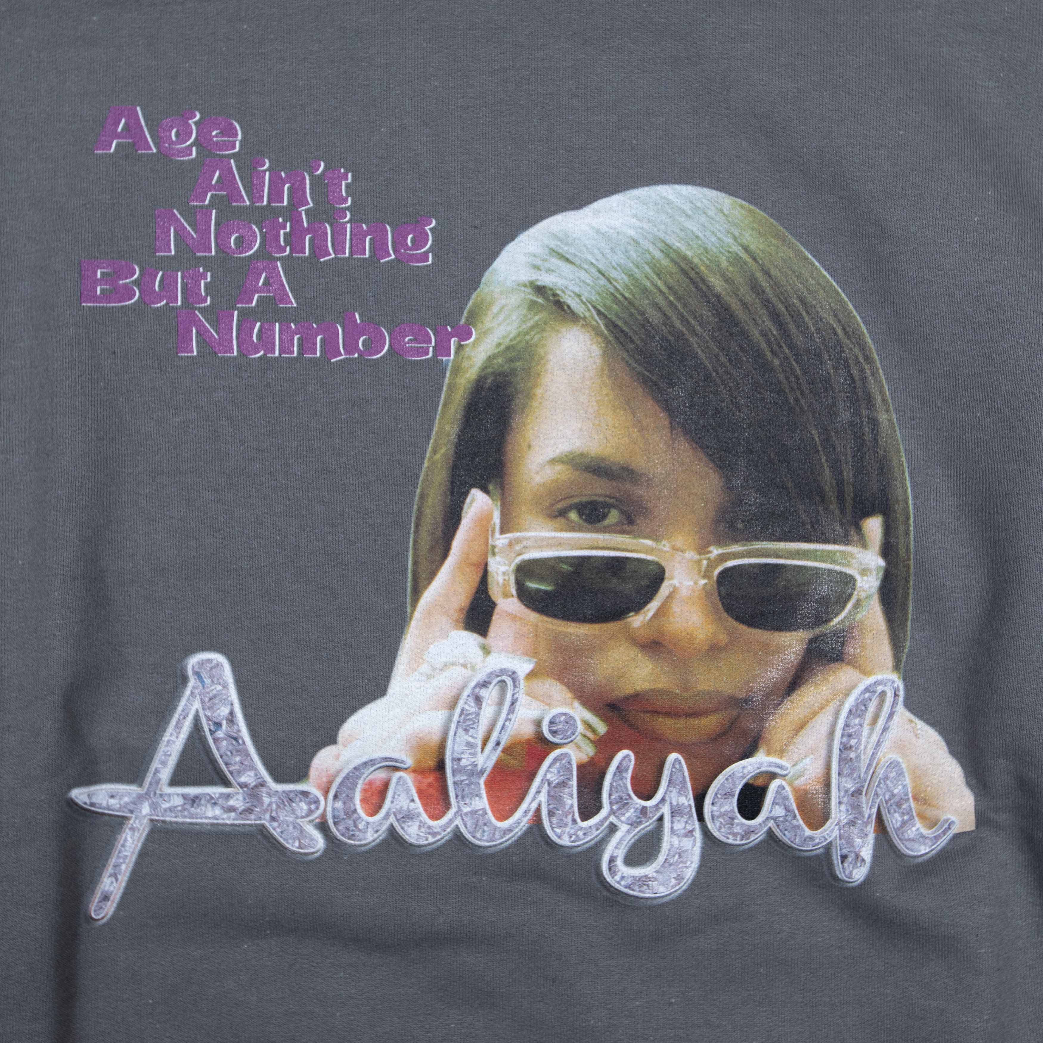 1993 DESIGNED WORLD HIPHOP [ aaliyah ] CREW NECK