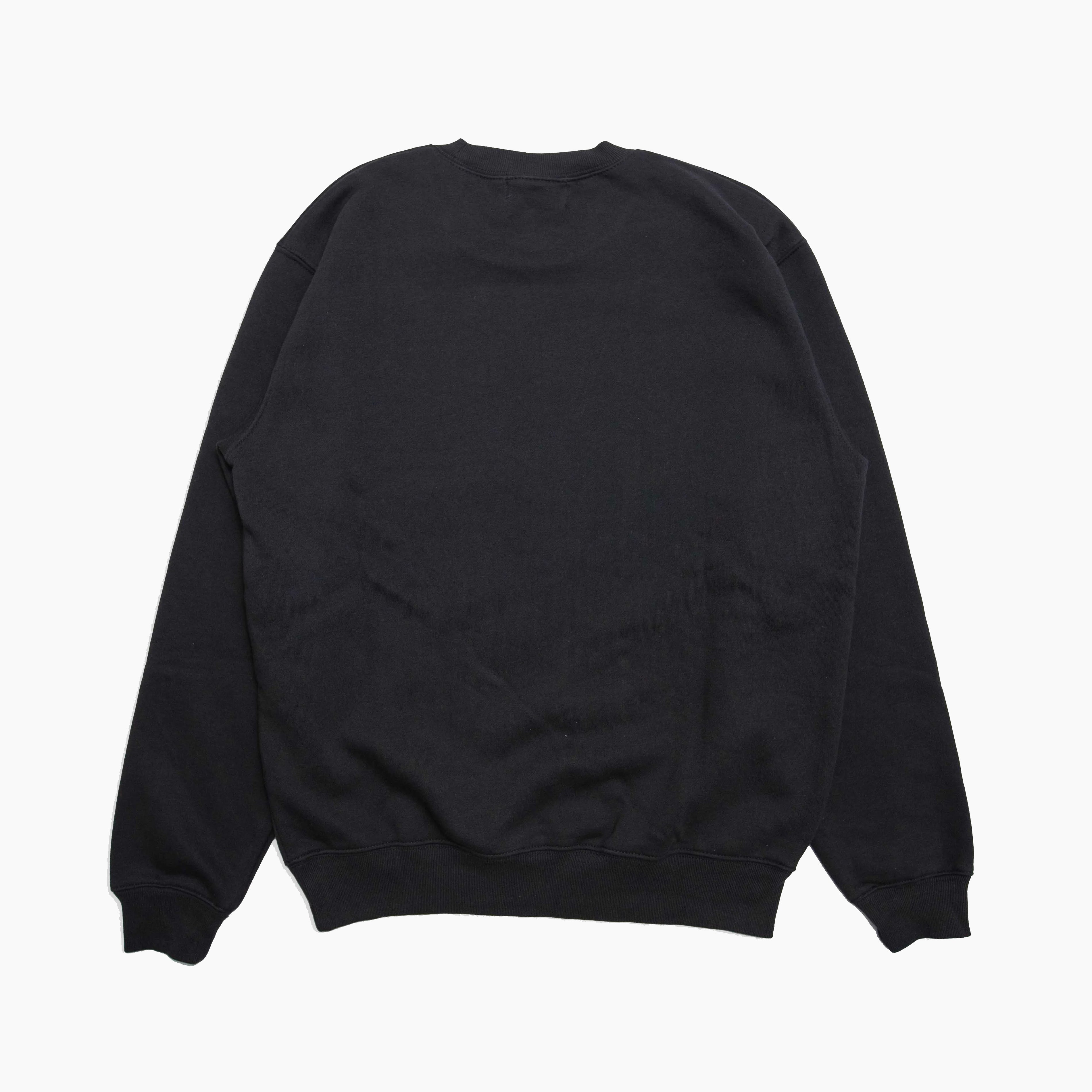 1993 DESIGNED WORLD HIPHOP [ ICECUBE ] CREWNECK