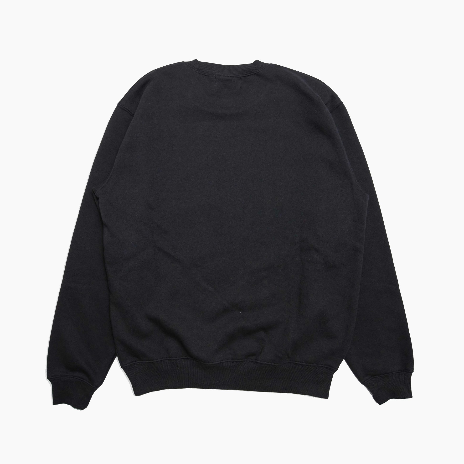 1993 DESIGNED WORLD HIPHOP [ ICECUBE ] CREWNECK
