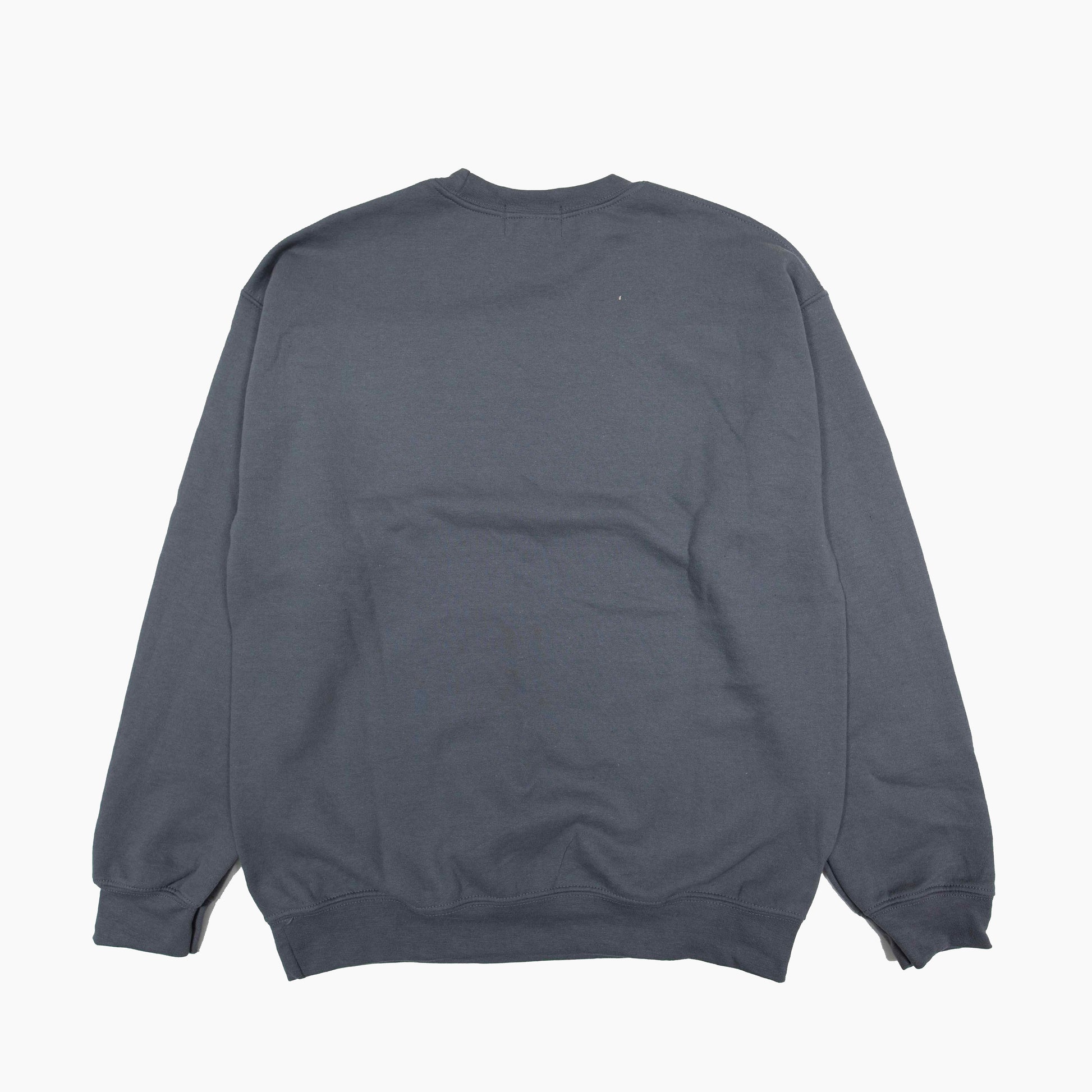 1993designed world hiphop [ aaliyah ] CREW NECK