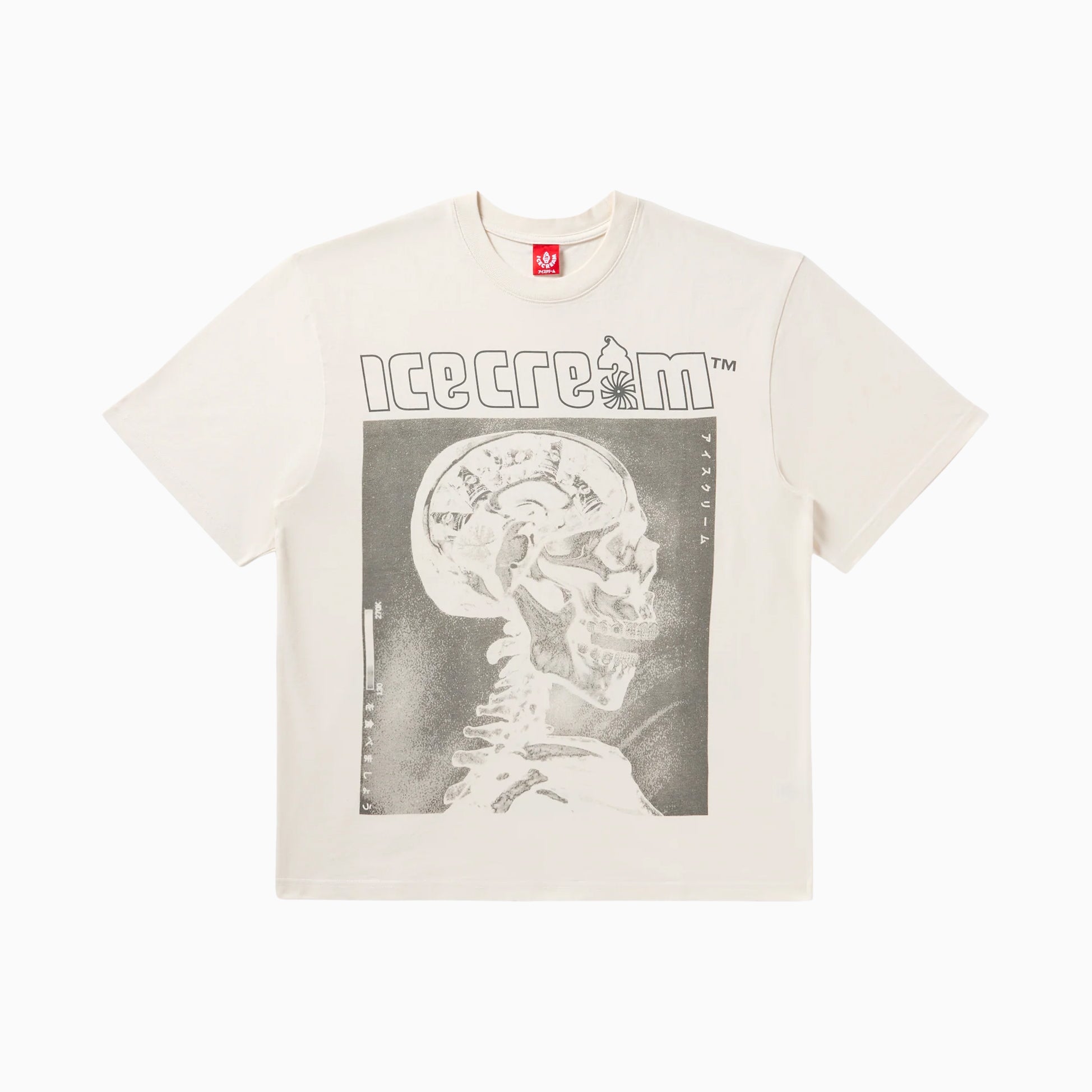ICECREAM MONEY ON MY MIND OVERSIZED T-SHIRT