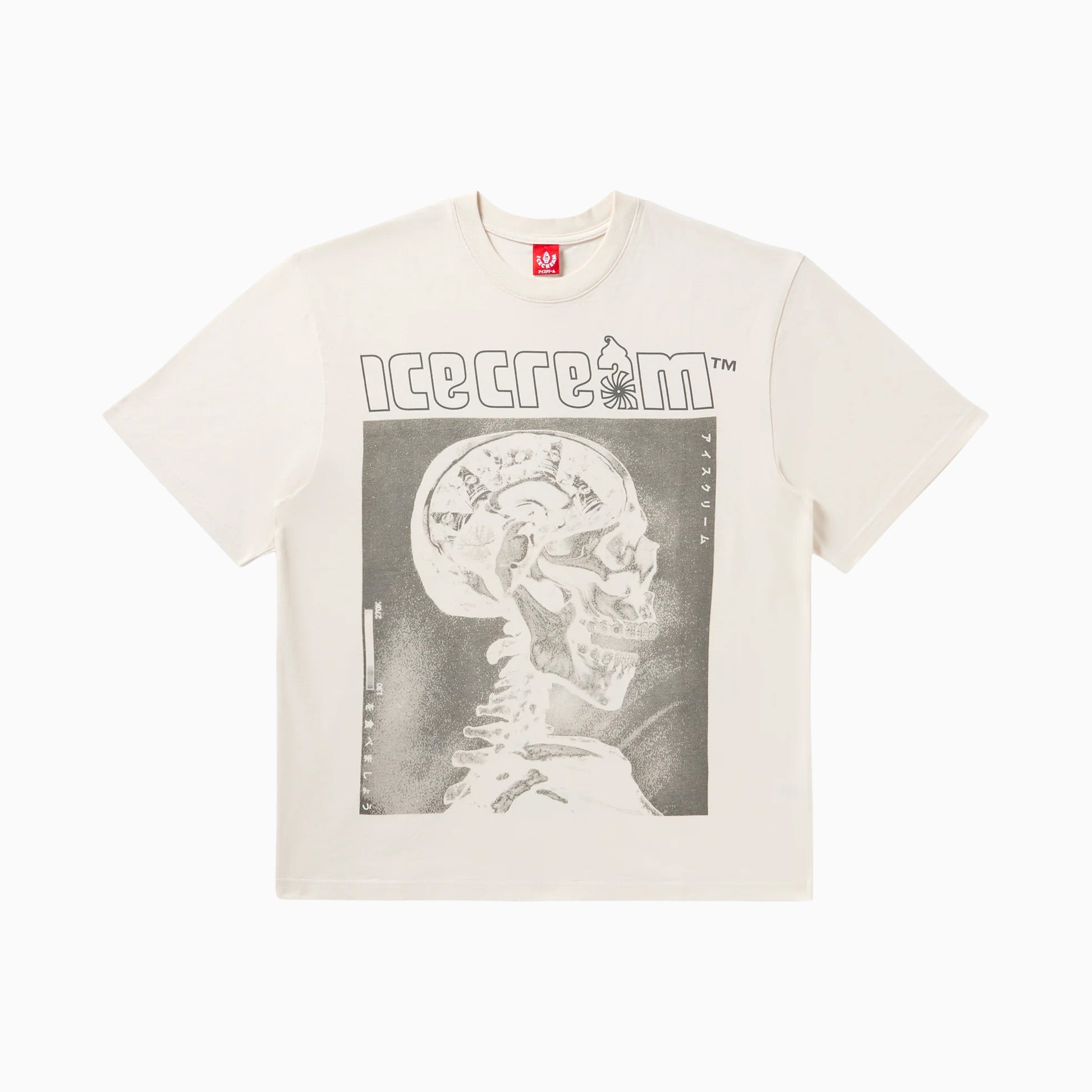 ICECREAM MONEY ON MY MIND OVERSIZED T-SHIRT