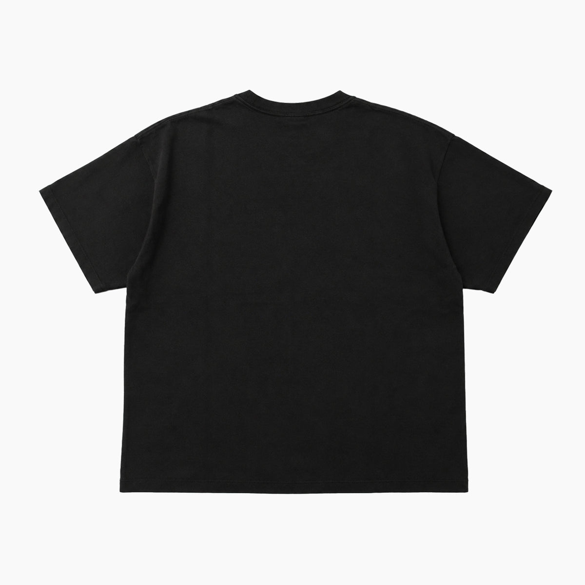 Champion SHORT SLEEVE T-SHIRT C3-D313