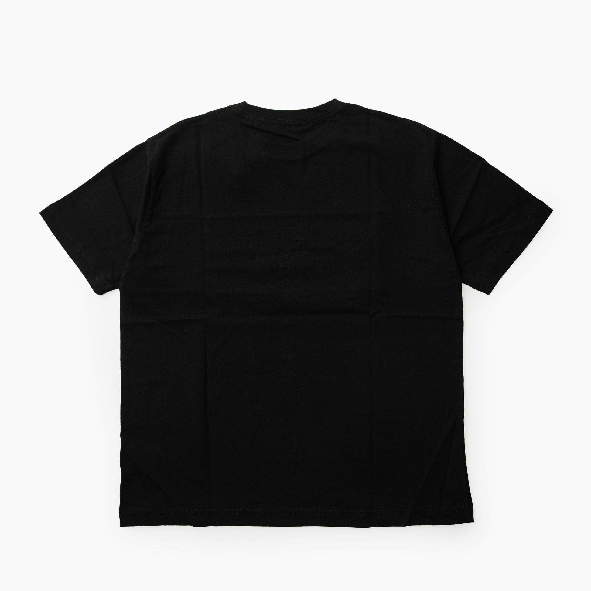 EddieBauer EBTEK パネルTシャツ/EBTEK PANEL TEE