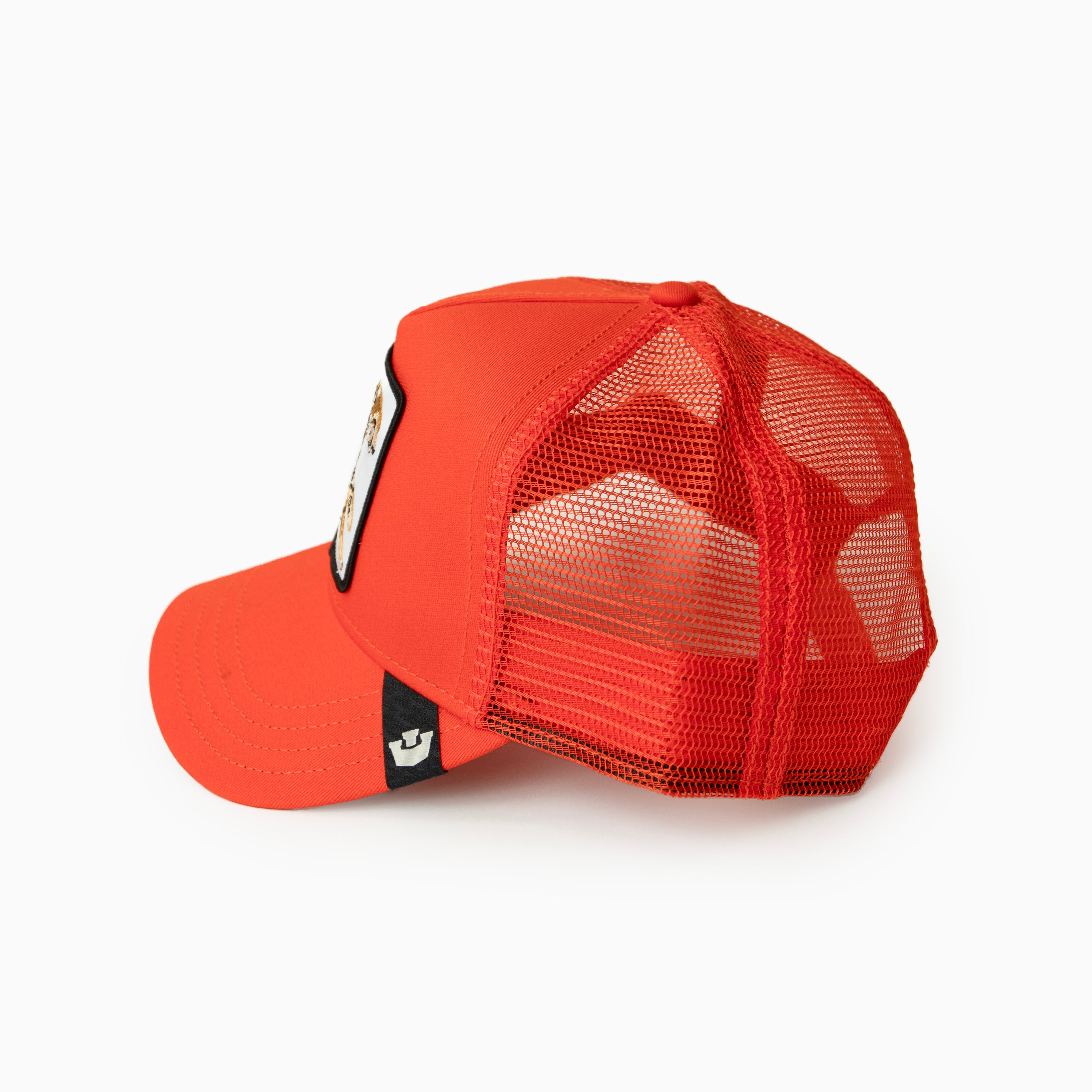 Goorin Bros CAP " THE NONSTOP CHEETAH "