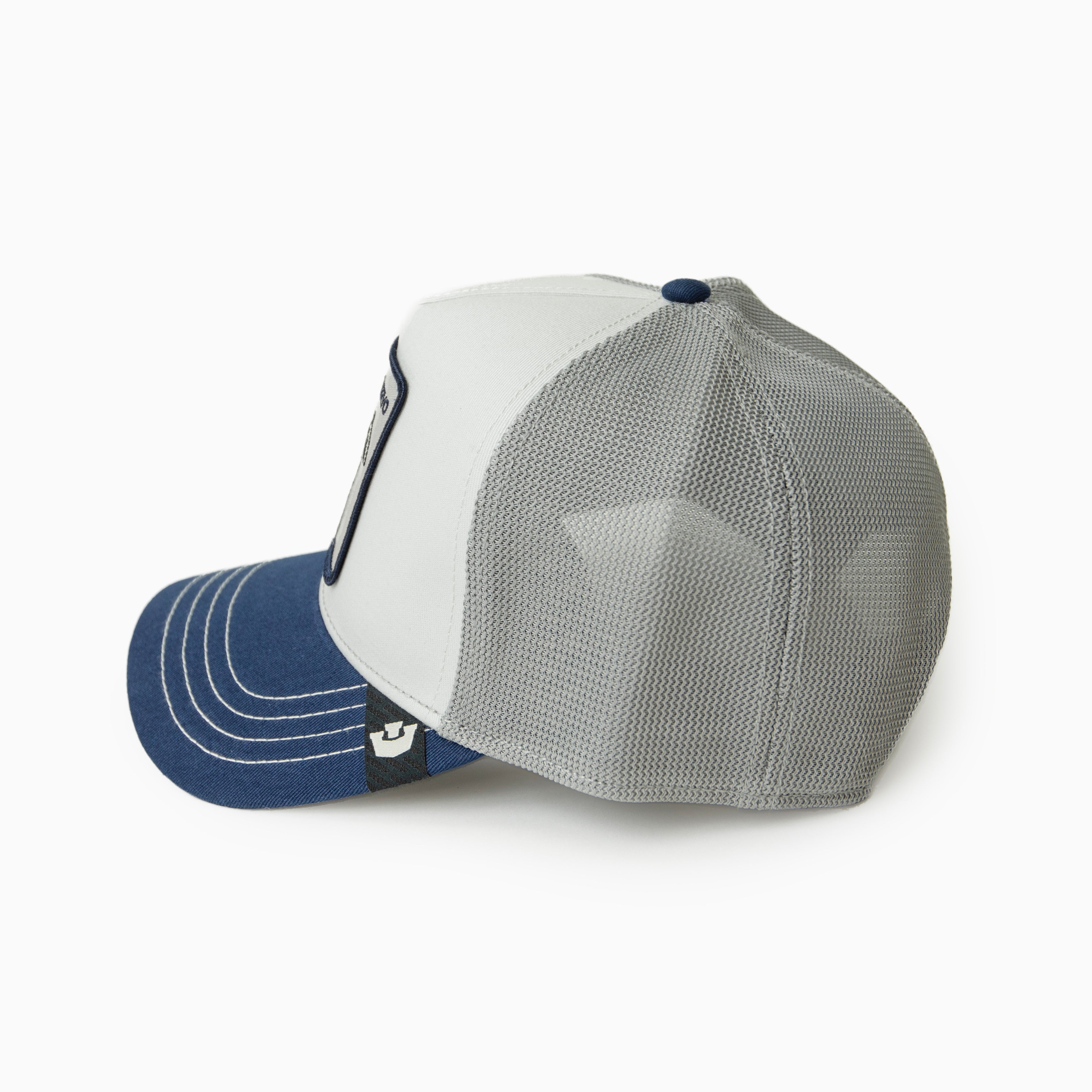 Goorin Bros CAP " SILVER   Raven "