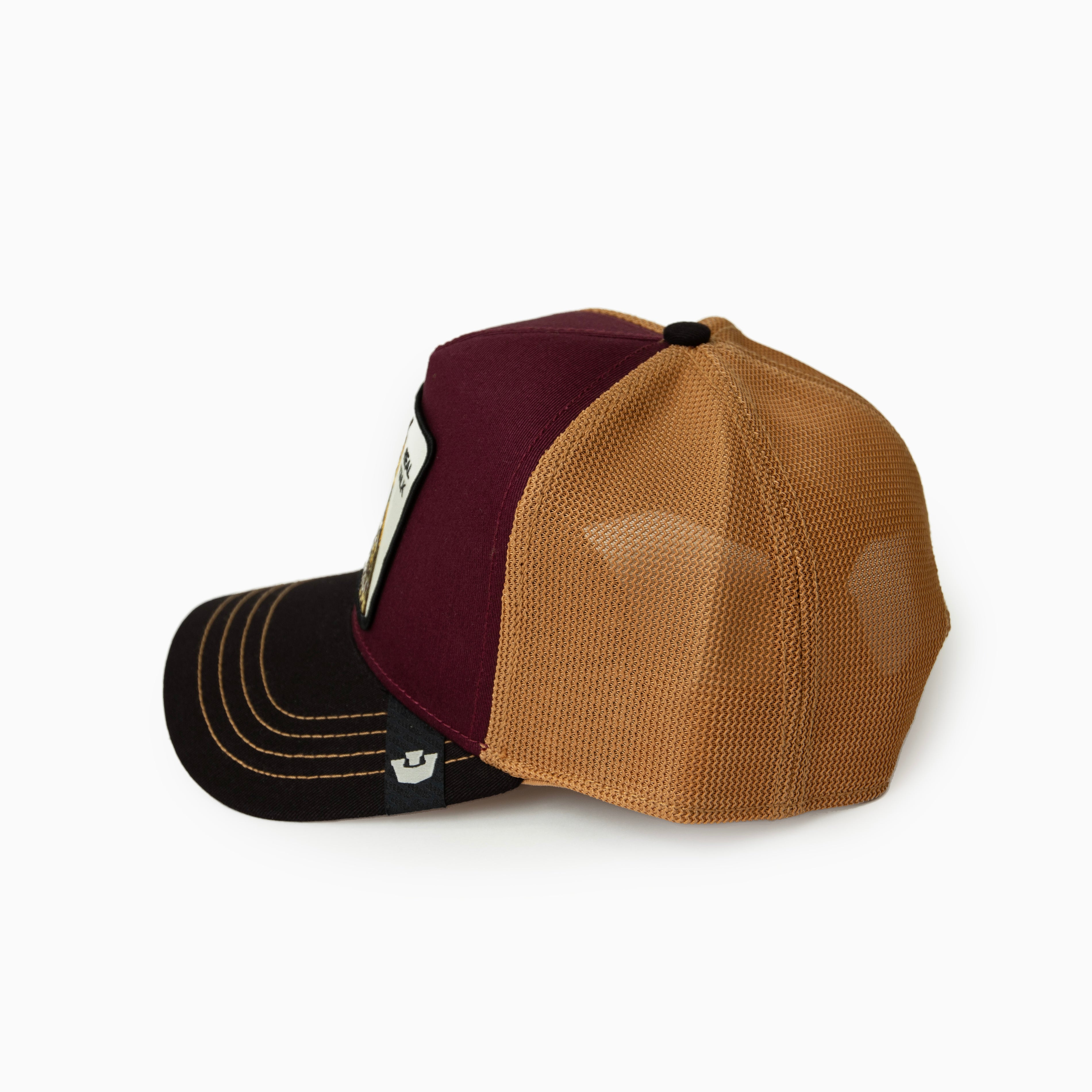 Goorin Bros CAP " Tricolor   Owl "