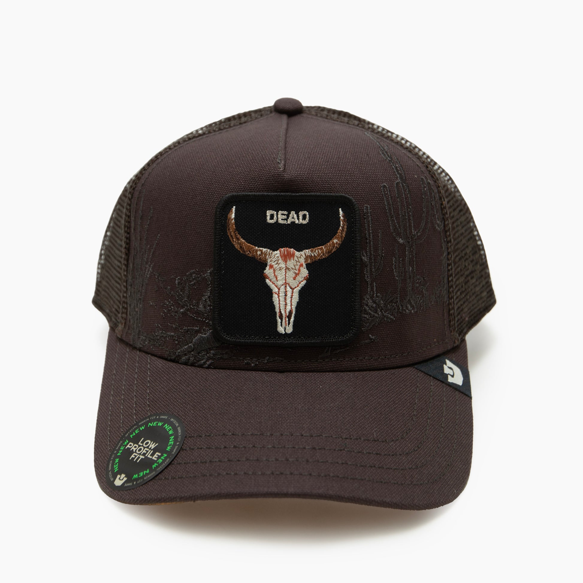 Goorin Bros CAP "Badlands Skull"