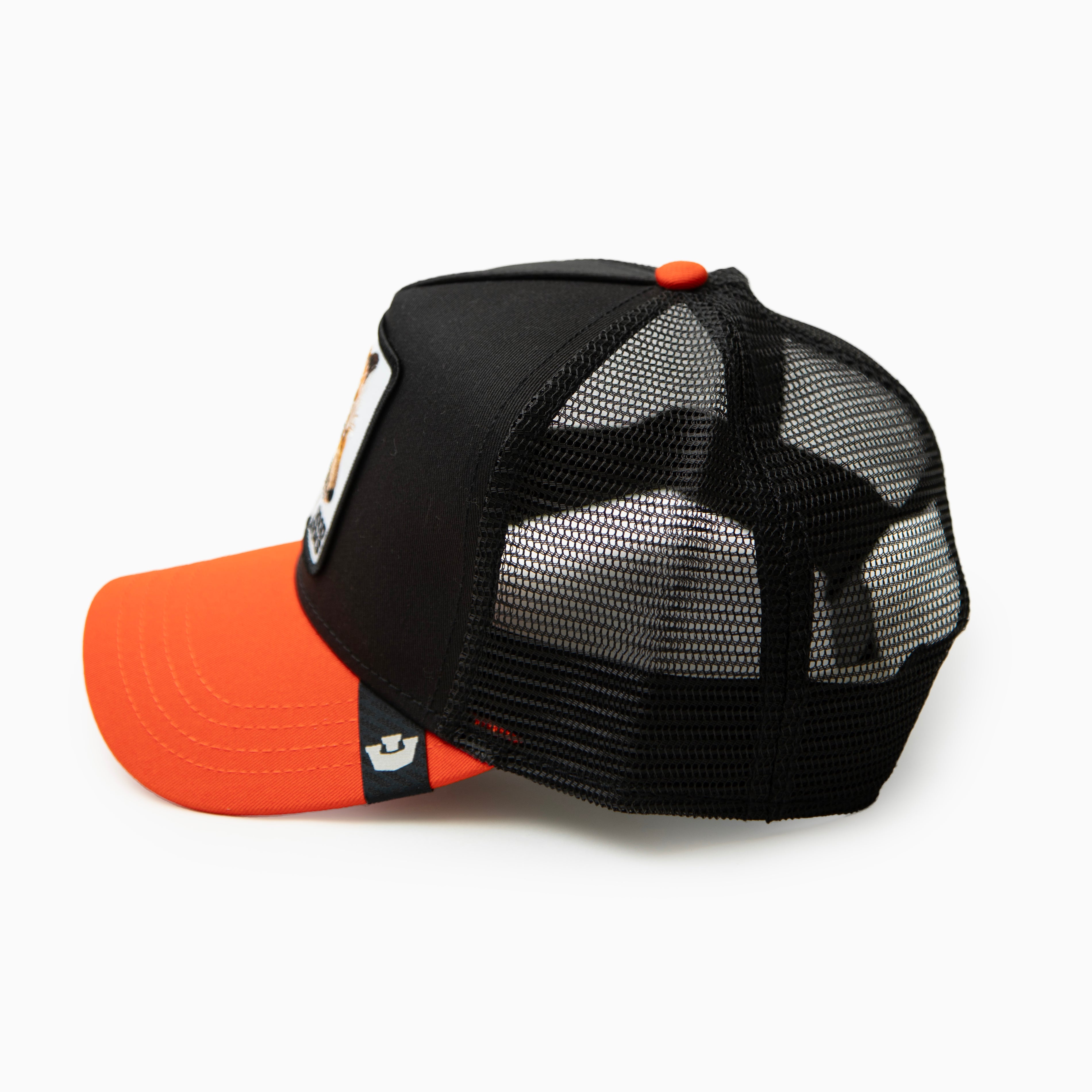 Goorin Bros CAP "Good   Looks   Fox"