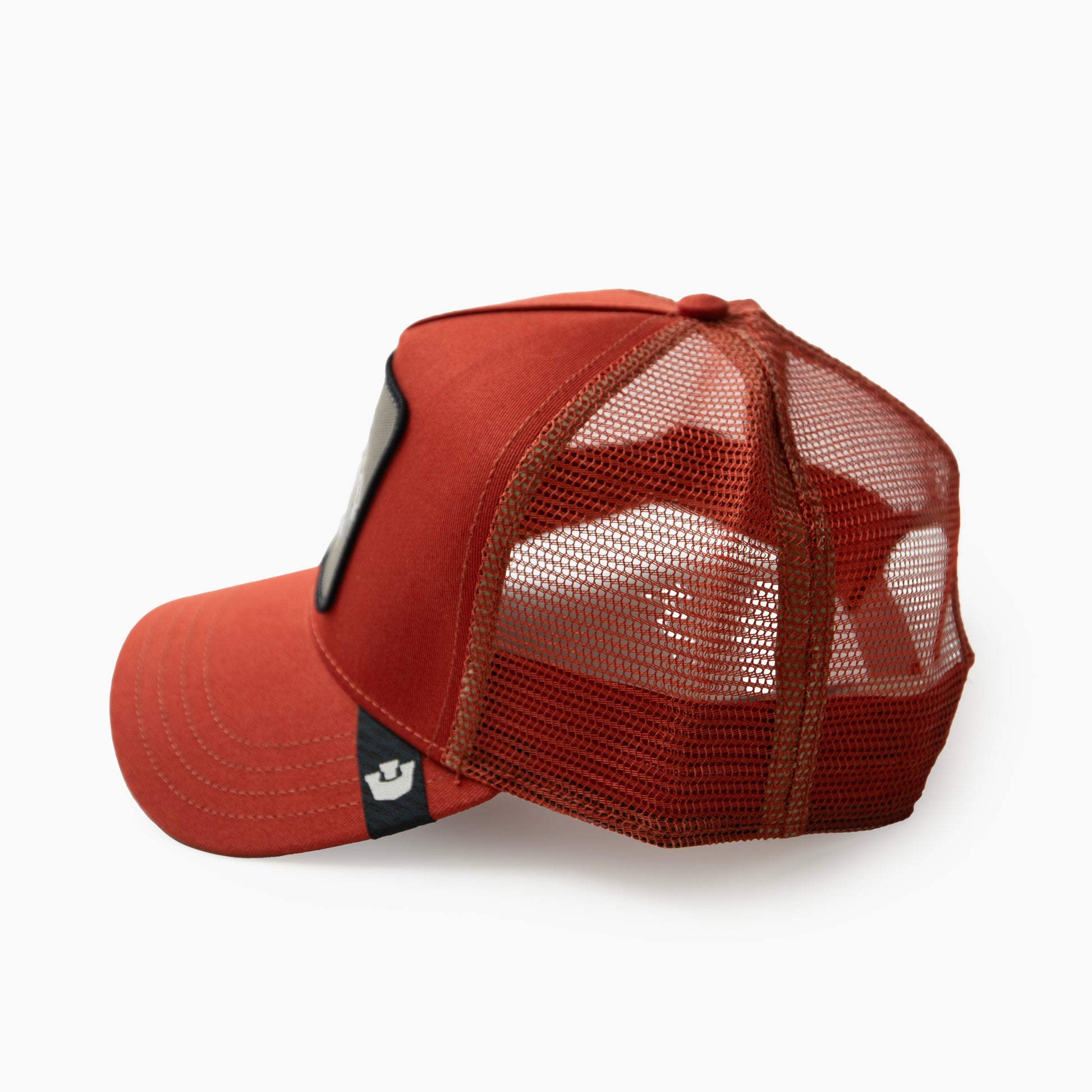 Goorin Bros CAP "THE EXTINCT SKULL"