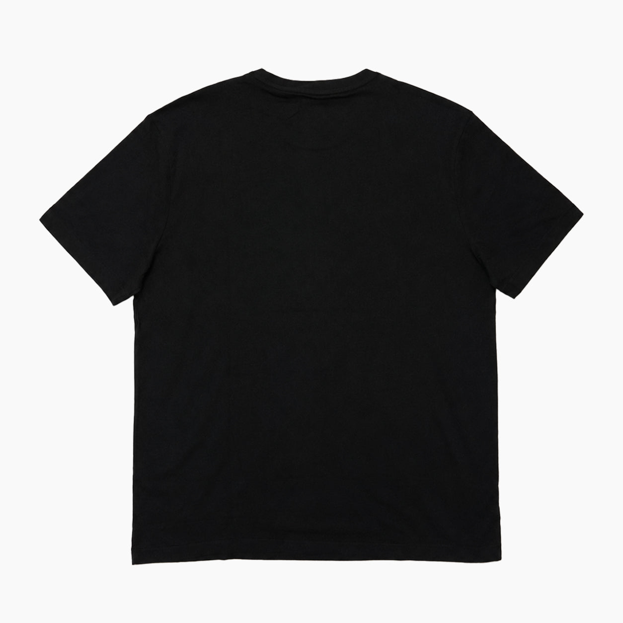 Polo Ralph Lauren M CLASSICS TEE