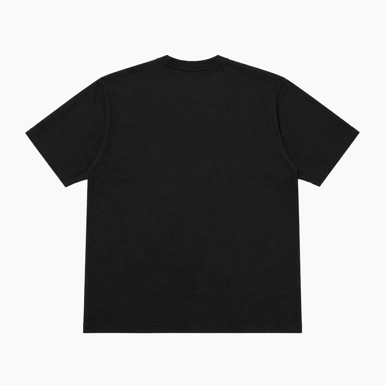 Champion T1011 short sleeve Tshirts C5-B301 Made in USA
