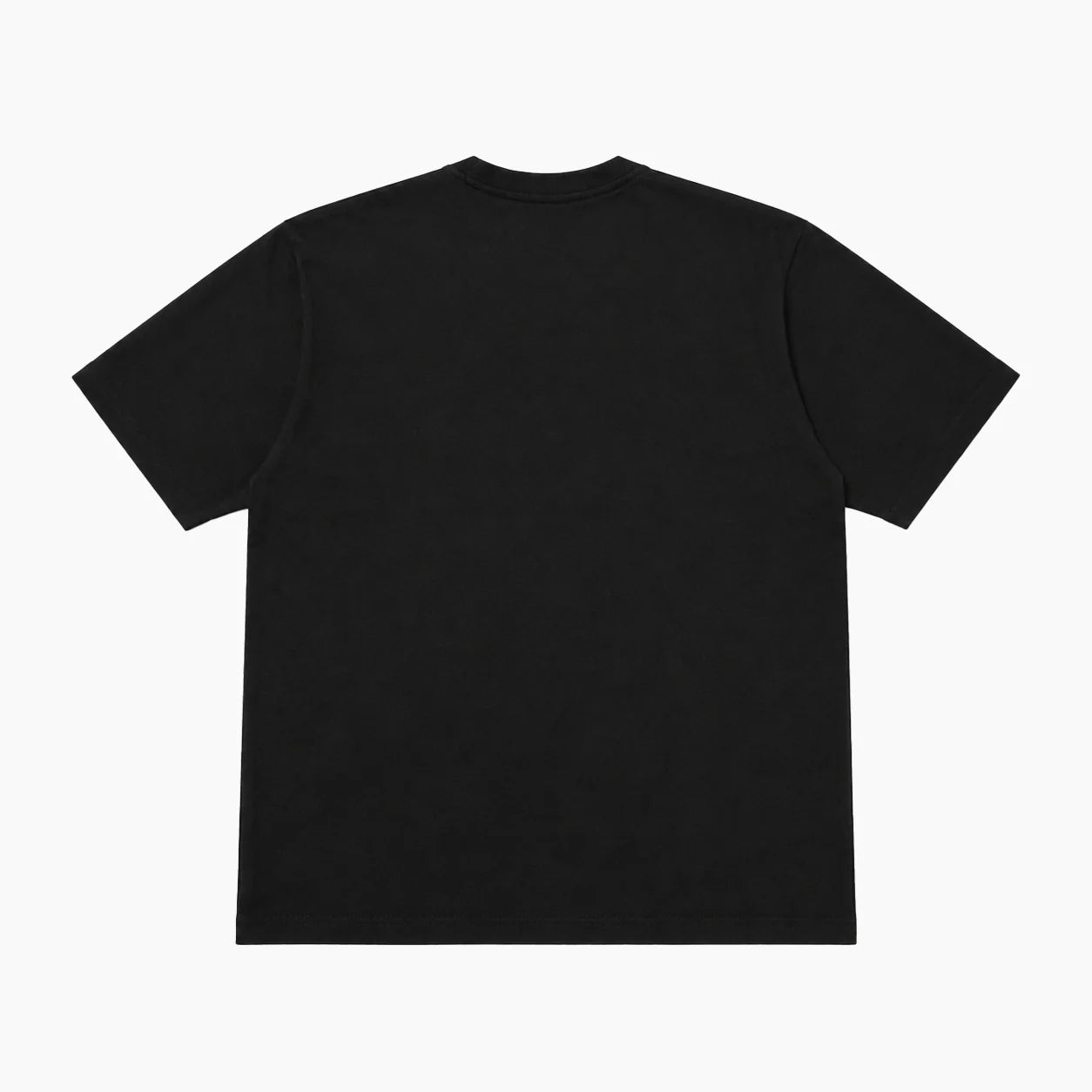 Champion T1011 short sleeve Tshirts C5-B301 Made in USA