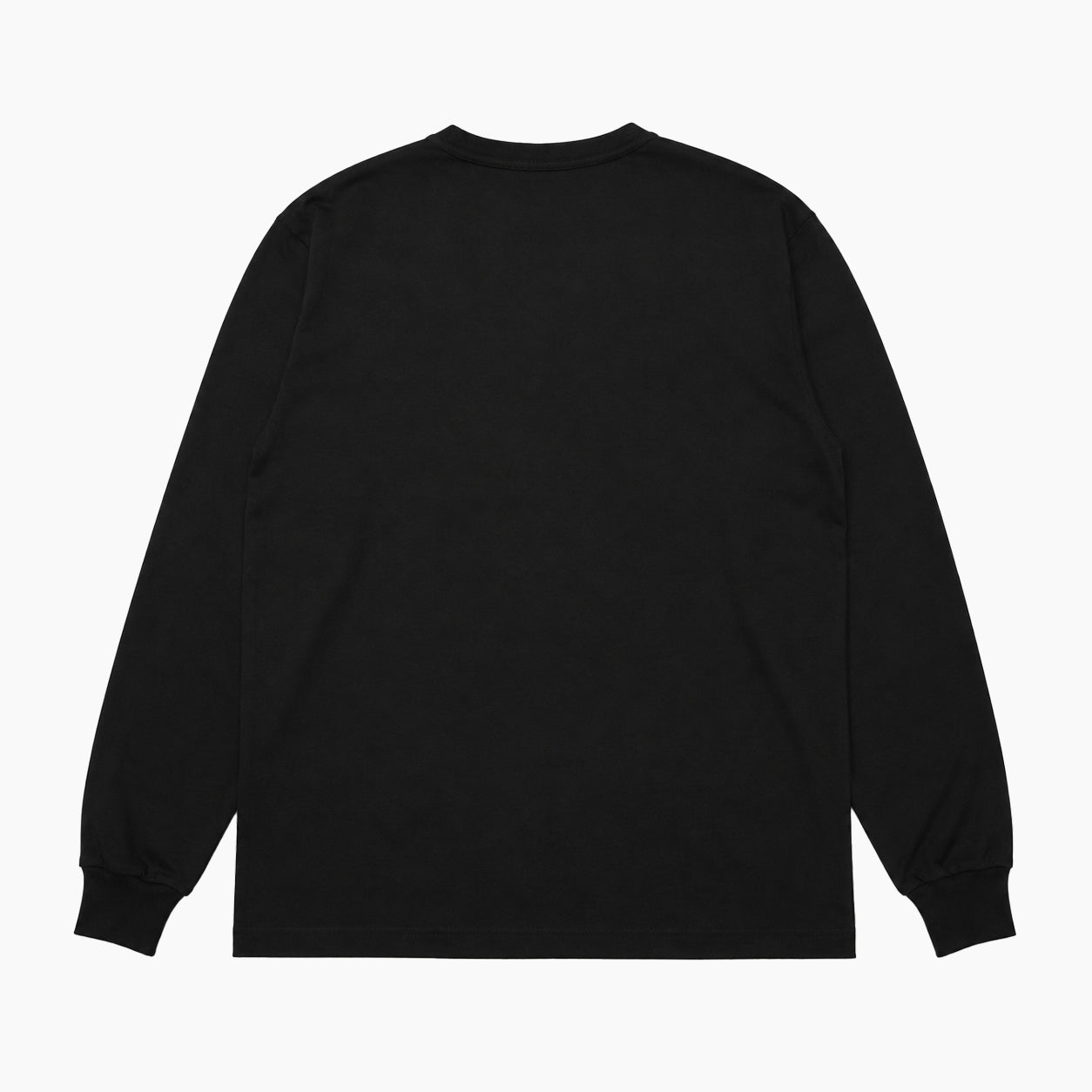 Champion T1011 LONG SLEEVE T-SHIRT C5-B403 MADE IN USA