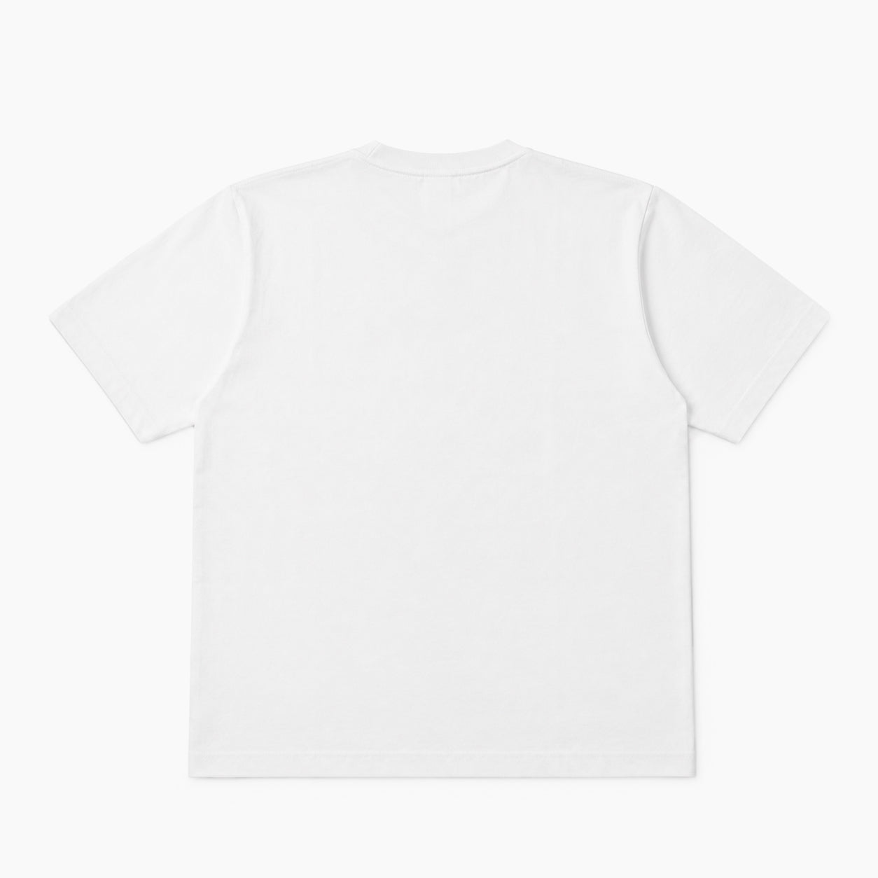 Champion T1011 S/S T-SHIRT COLLEGE