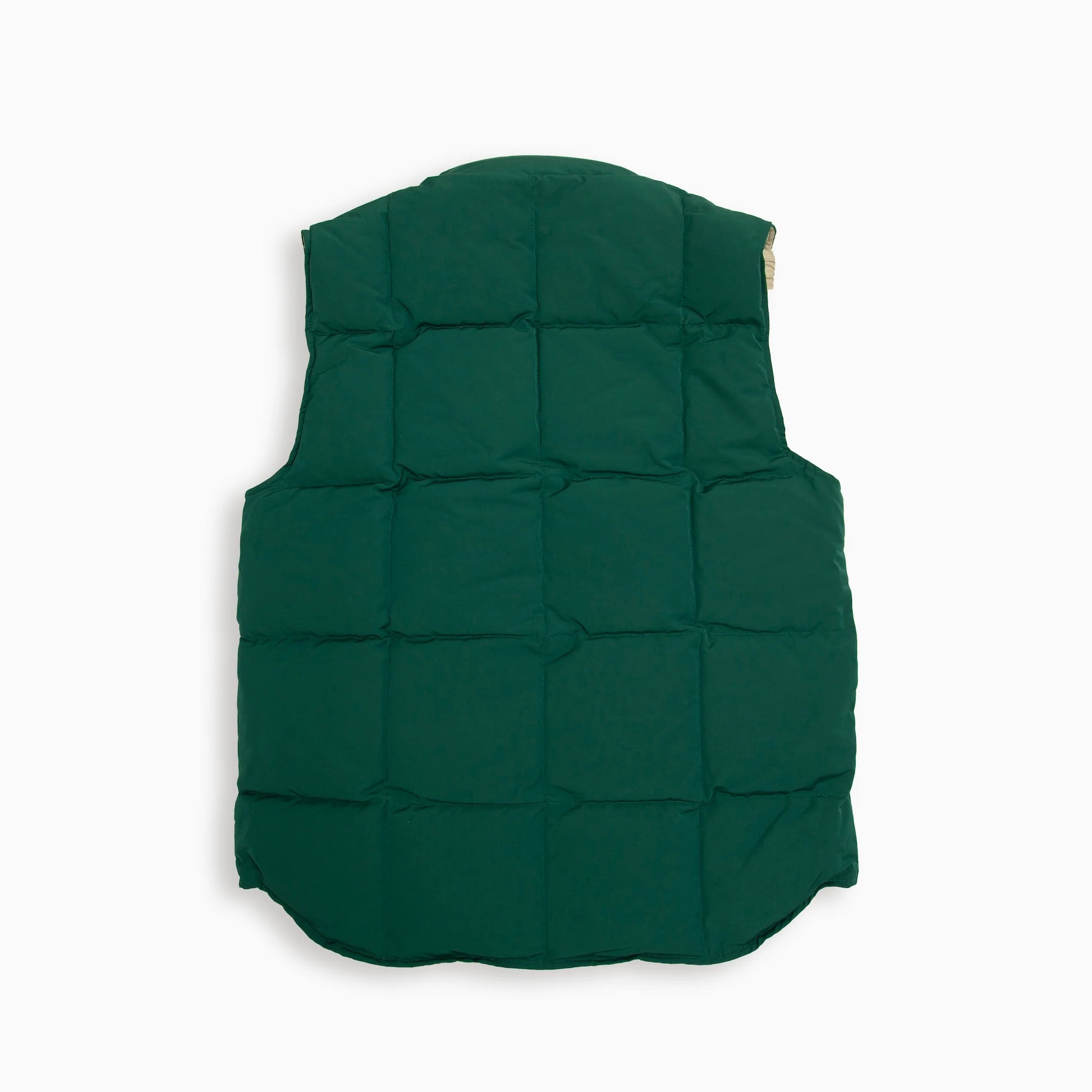 Eddie Bauer /BLIZZARD MASTER VEST リザード マスター ベストe942425m