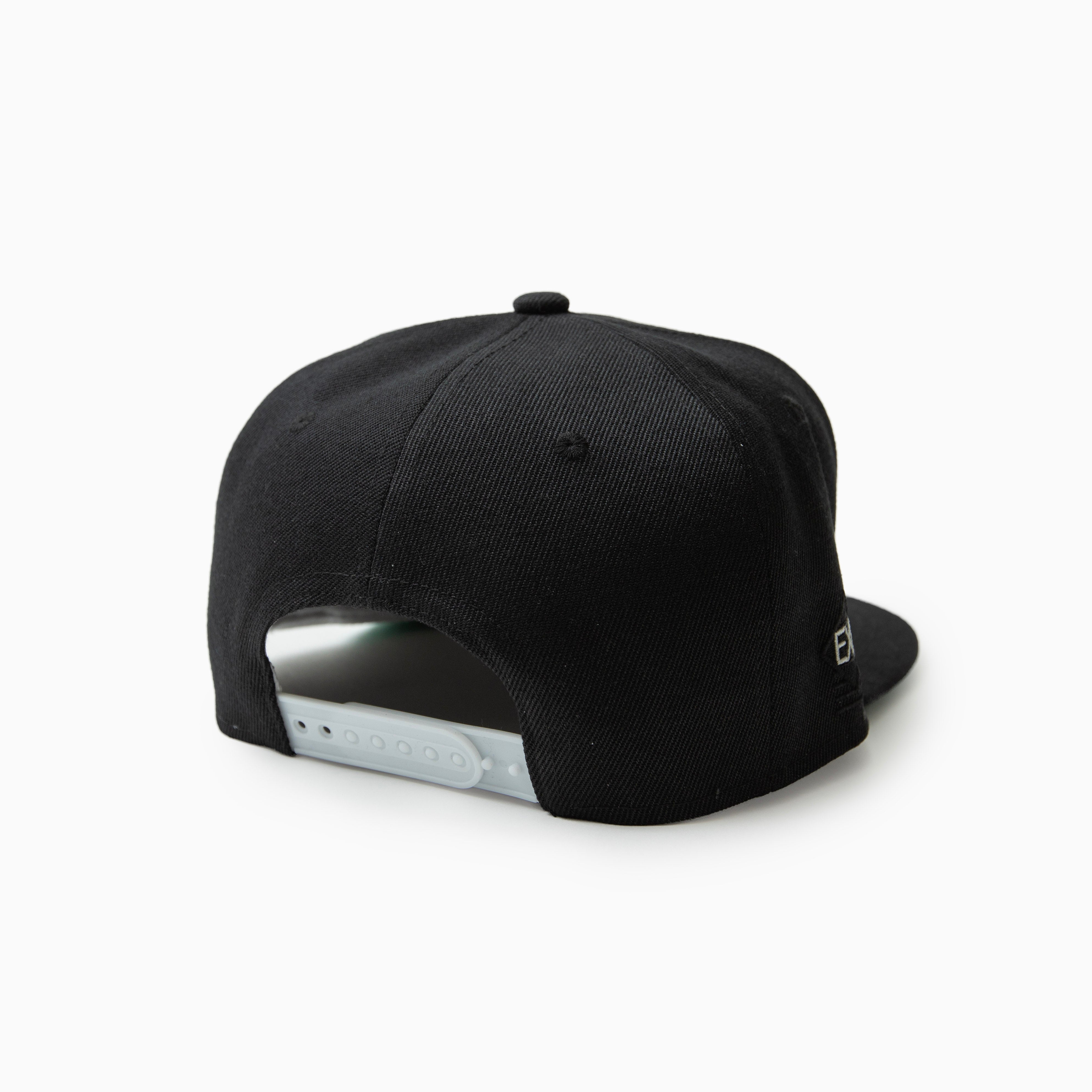 Expansion NY Tape Kingz X NY Classic cap + DJ MURO MIX TAPE