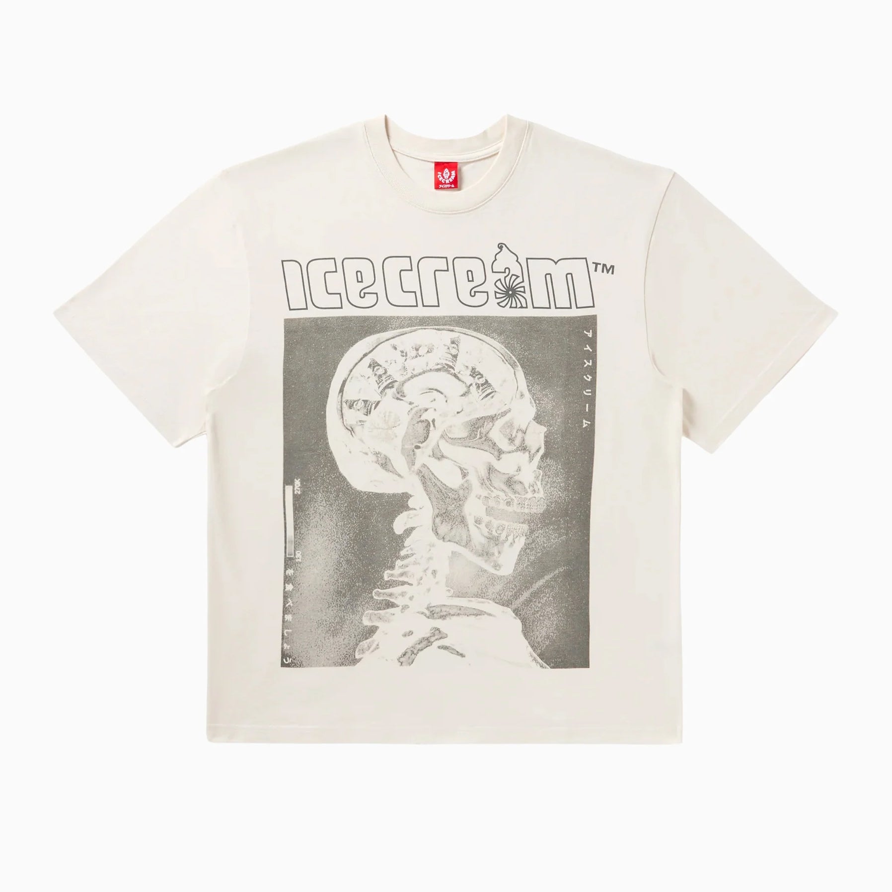 ICECREAM MONEY ON MY MIND OVERSIZED T-SHIRT