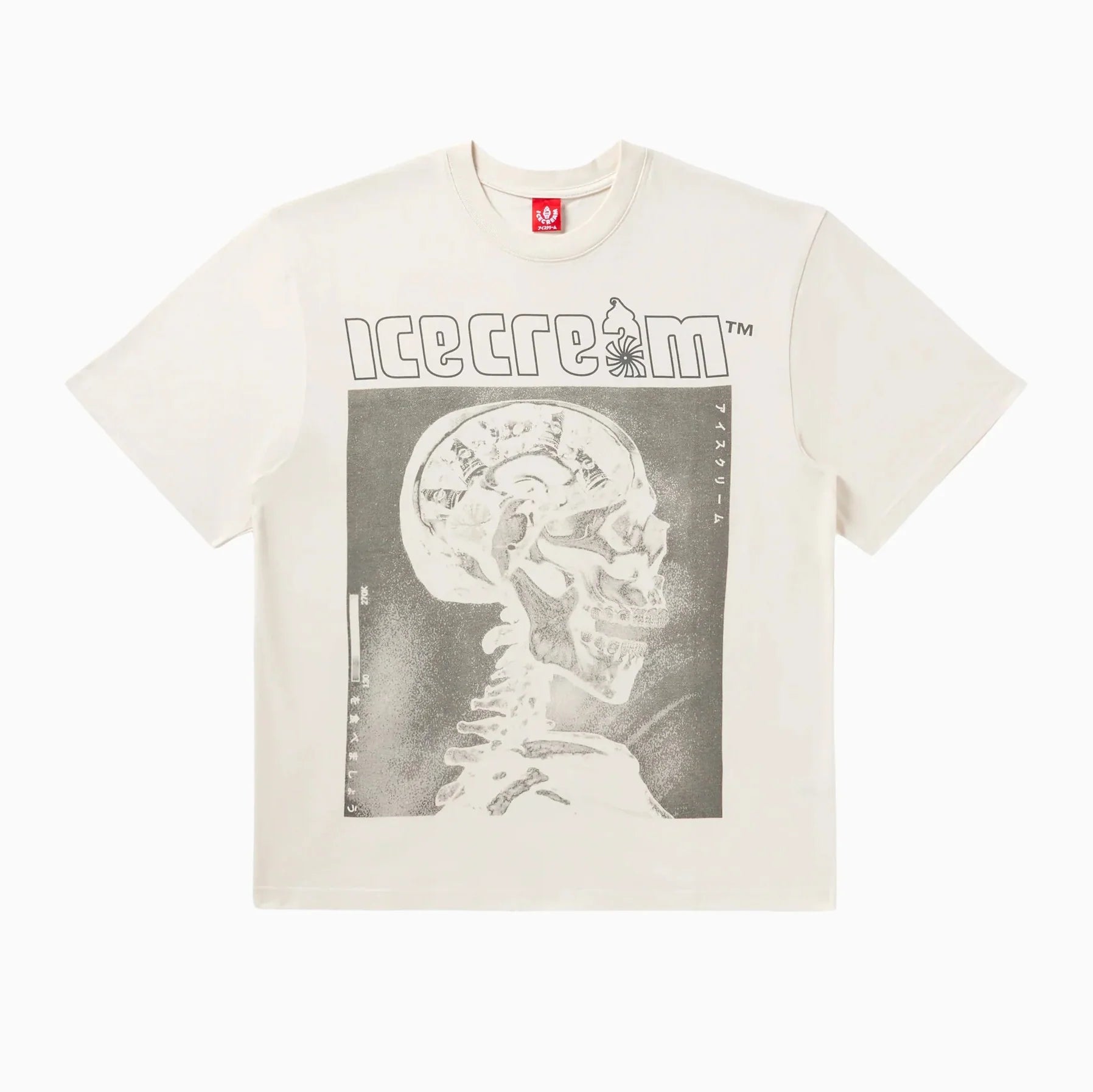 ICECREAM MONEY ON MY MIND OVERSIZED T-SHIRT