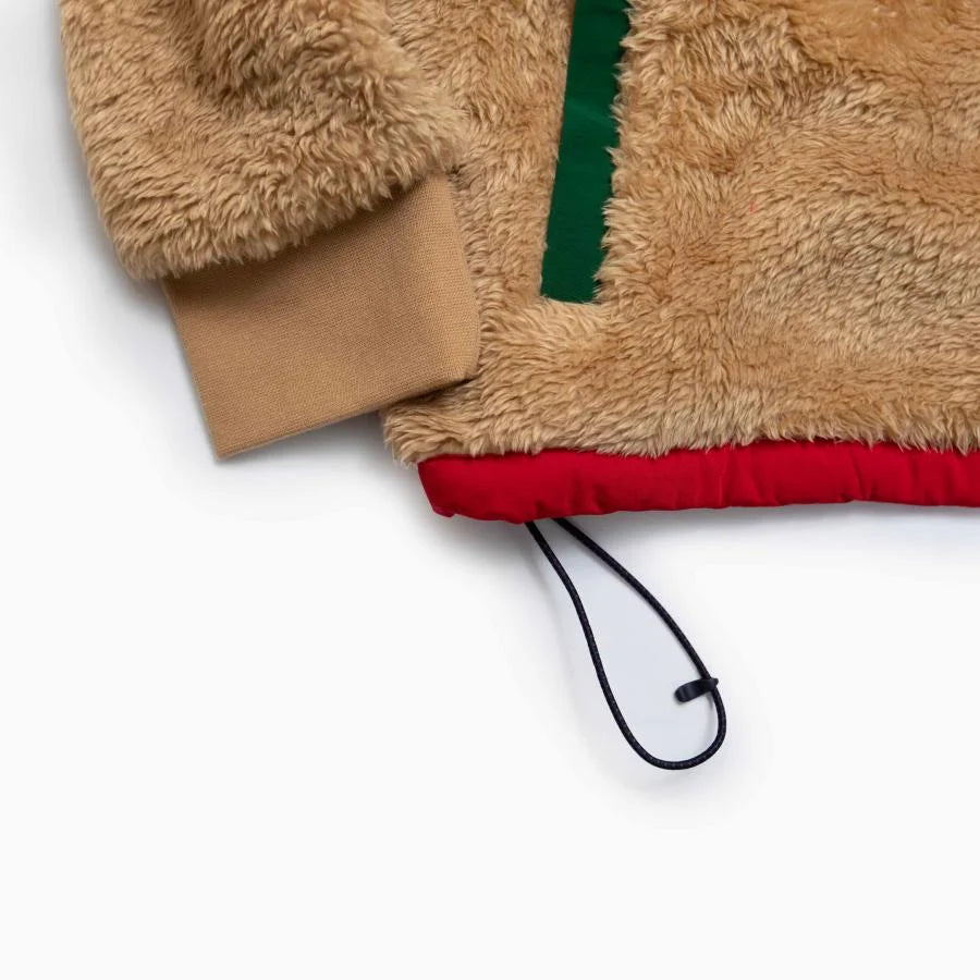 POLO RALPH LAUREN Color Block Half-Zip Fleece Hoodie