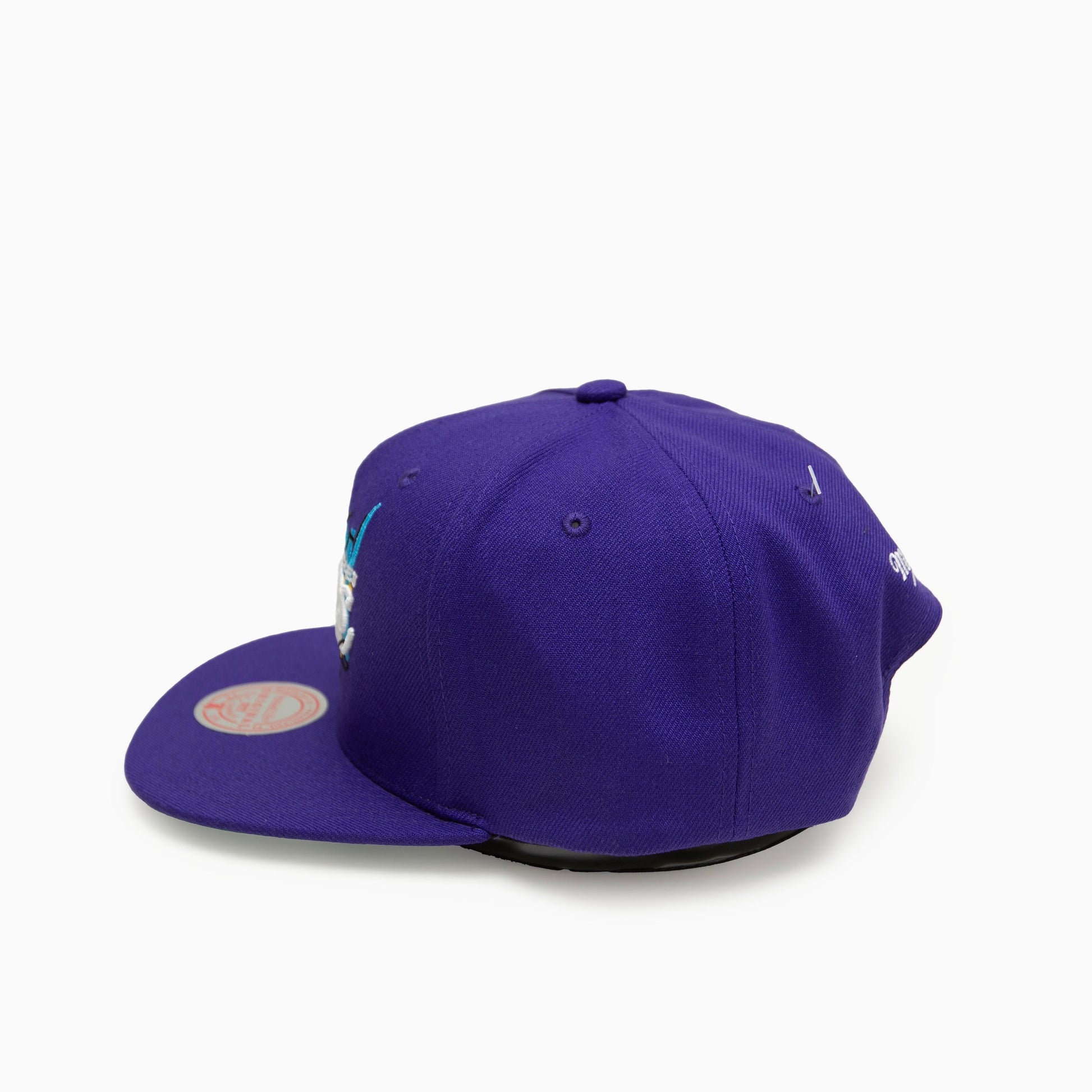 Mitchell & Ness FRUIT LOOPS SNAPBACK