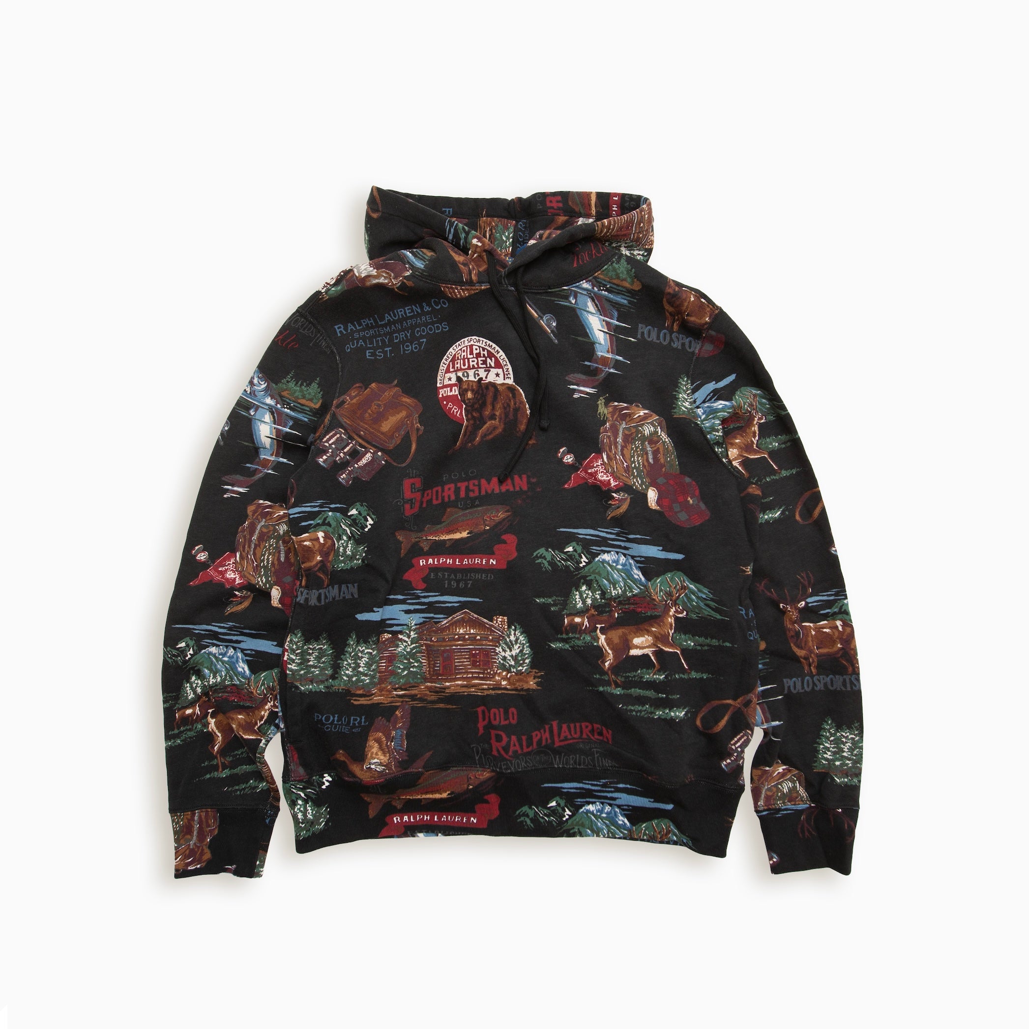 POLO RALPH LAUREN GRAPHIC HOODIE