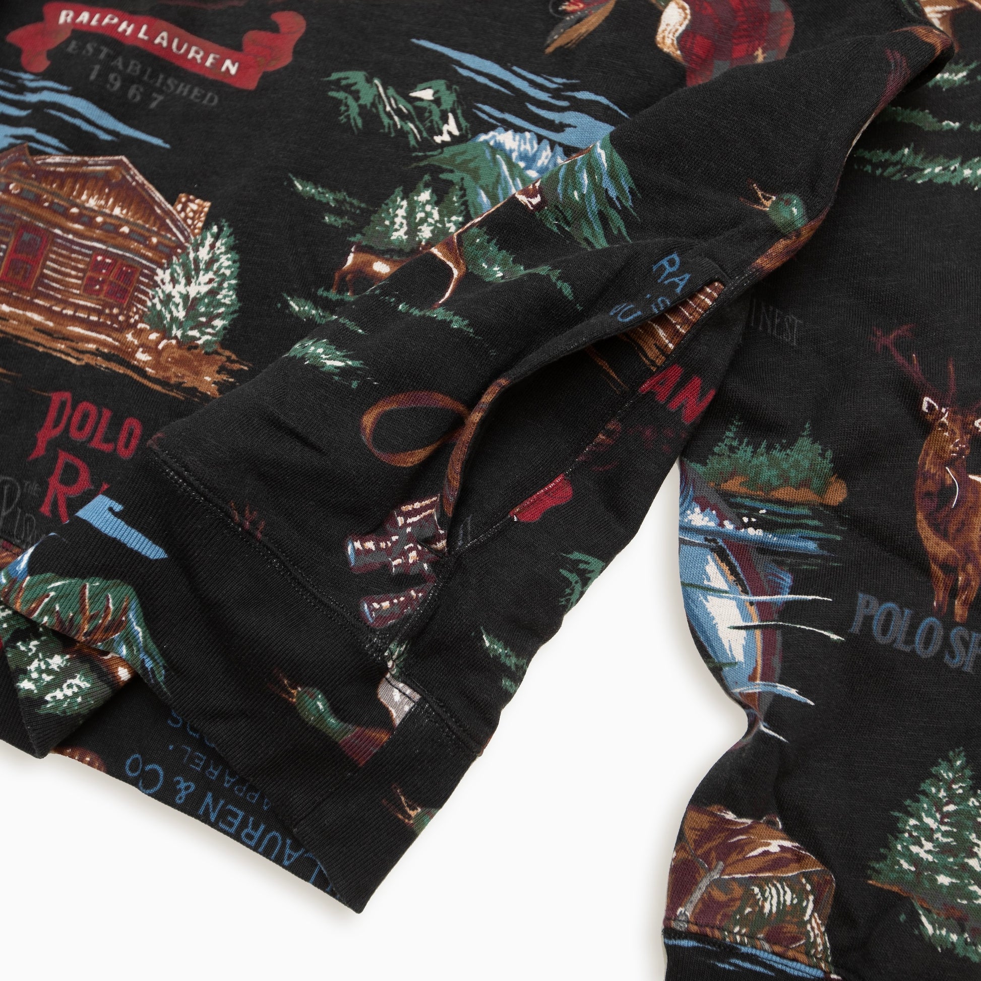 POLO RALPH LAUREN GRAPHIC HOODIE