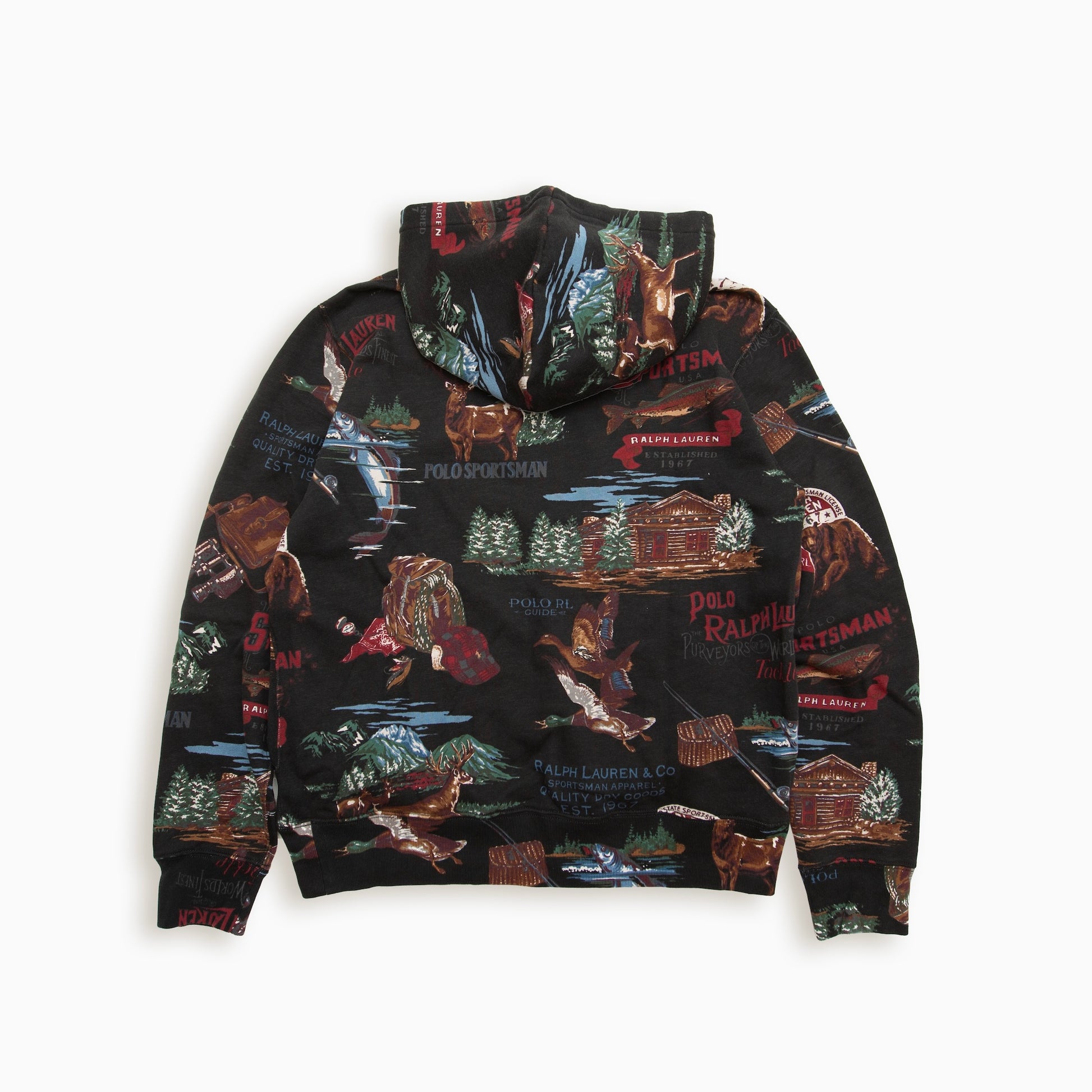 POLO RALPH LAUREN GRAPHIC HOODIE