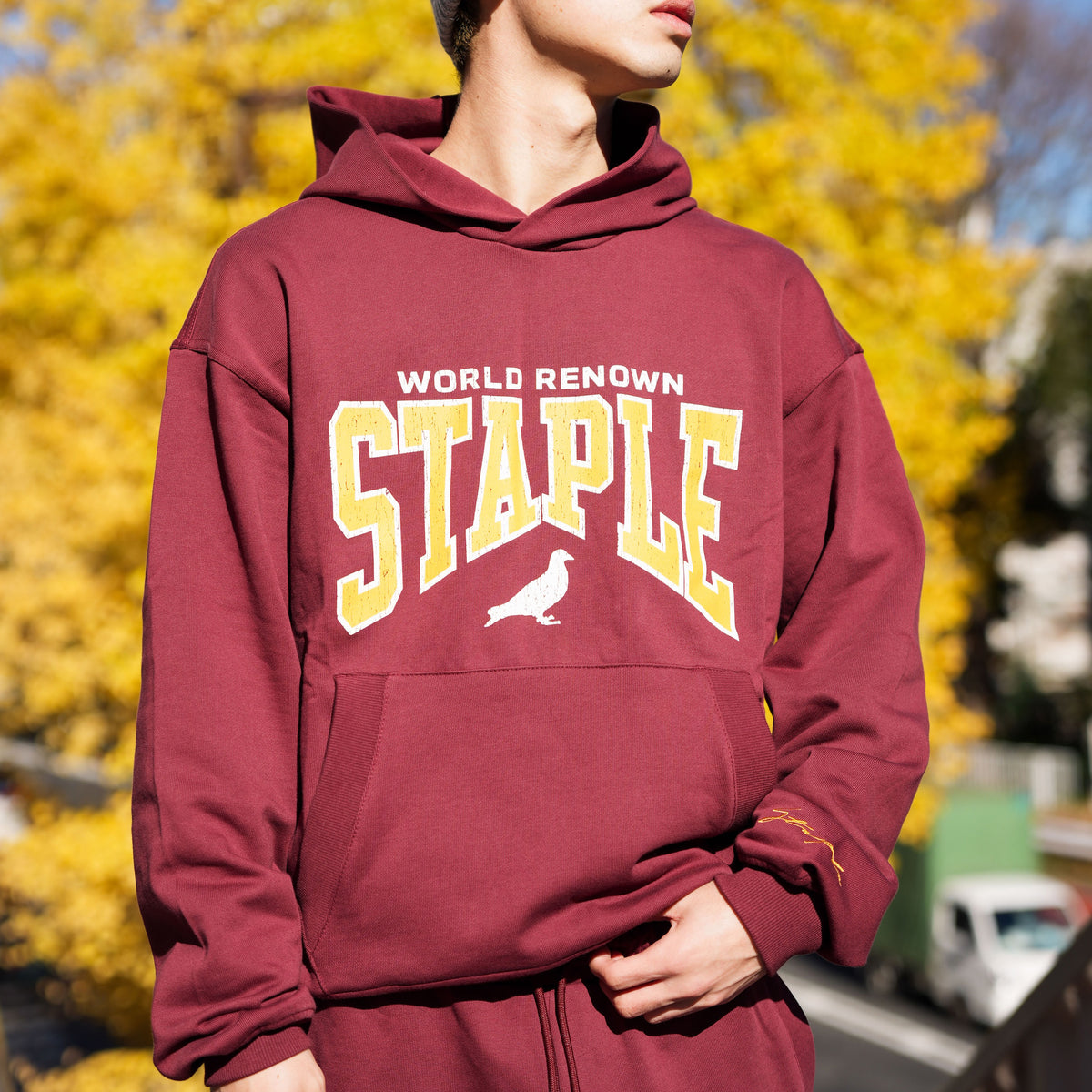 Staple Starks Logo Hoodie