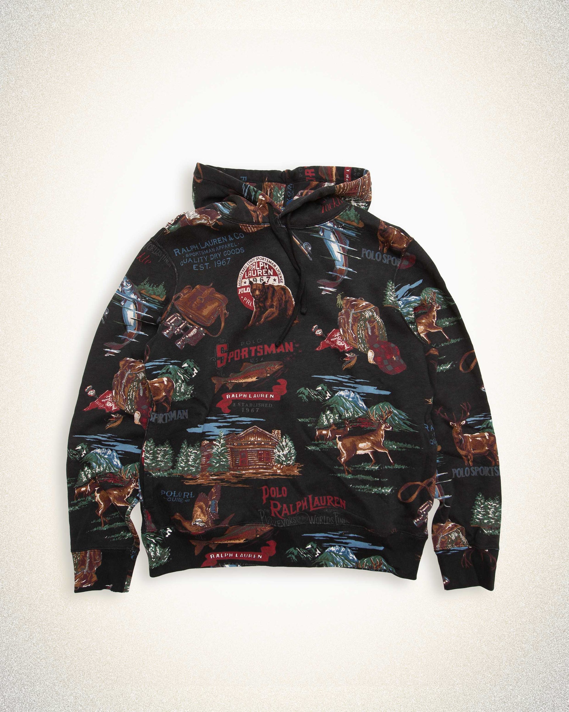 POLO RALPH LAUREN GRAPHIC HOODIE